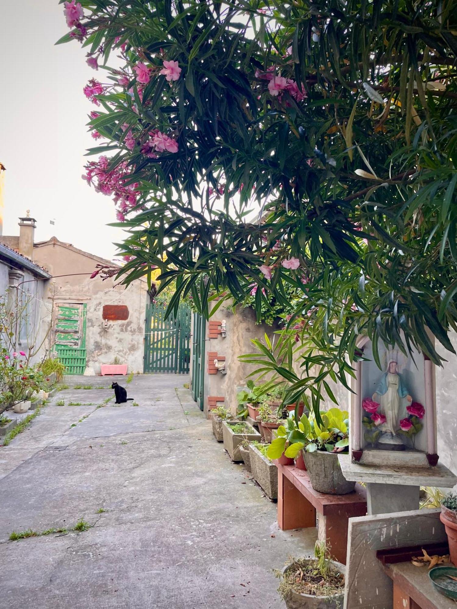 L'Encanto De Luna -Una Casa Autentica Comacchiese Comacchio Exterior foto